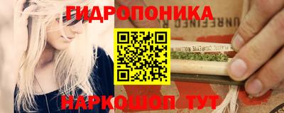 шишки Коммунар