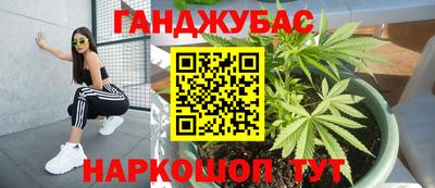 шишки Коммунар