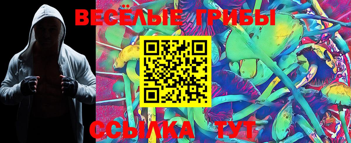 Галлюциногенные грибы GOLDEN TEACHER Кандалакша