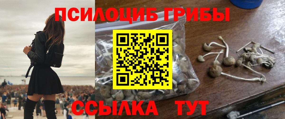 Галлюциногенные грибы Psilocybine cubensis  Вход с VPN  Кандалакша  Псилоцибиновые грибы Psilocybine cubensis 